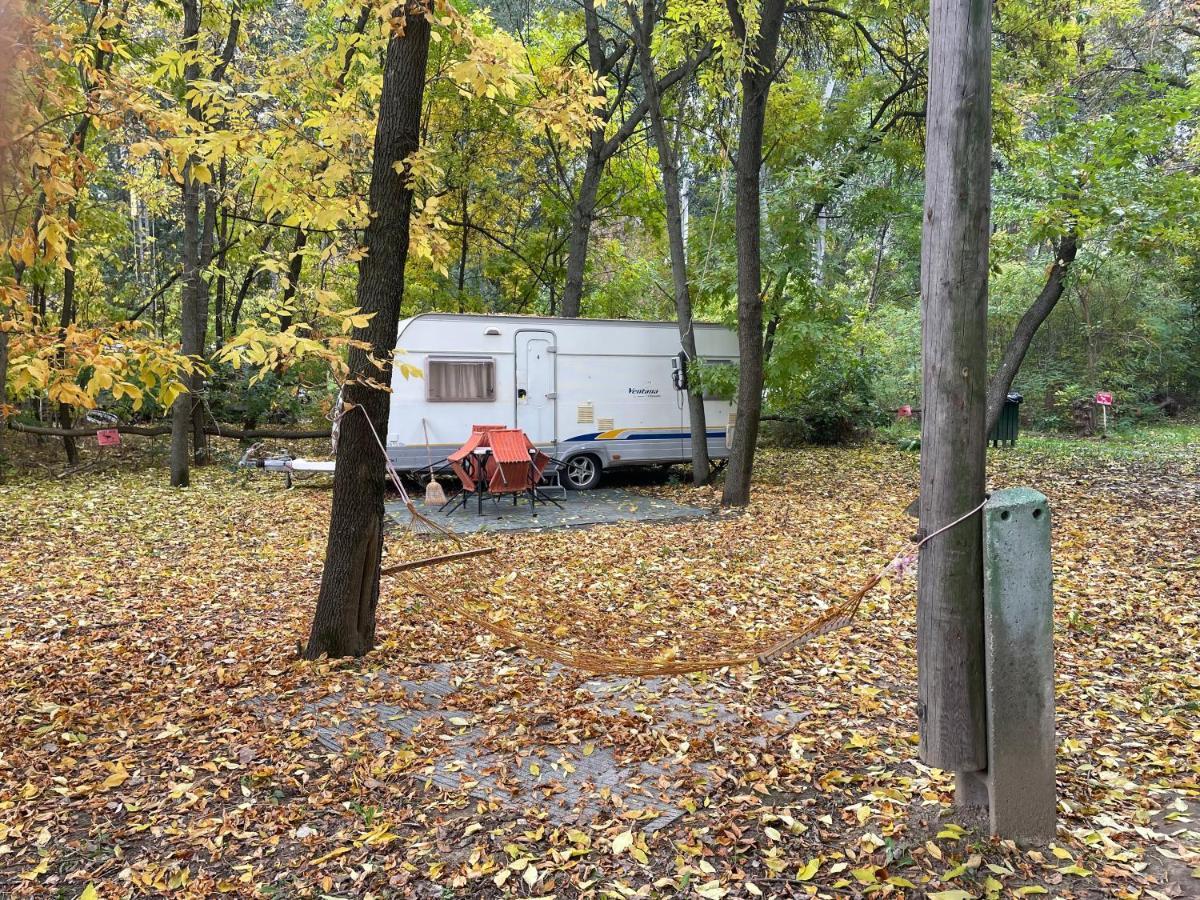 Hotel Tisza Beach Wild Camping 2 Segedín Exteriér fotografie